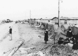 Bergen-Belsen
                                    concentration camp