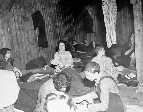 Typhus women survivors at Belsen
                                  Camp