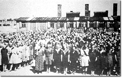 Selection of
                                            slave labor workers at
                                            Birkenau
