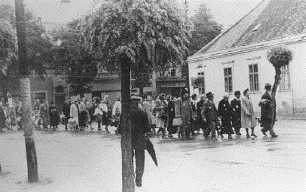 Holocaust in
                                                        Hungary
