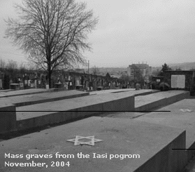 Mass
                                                          graves from
                                                          Iasi pogrom,
                                                          Romania
