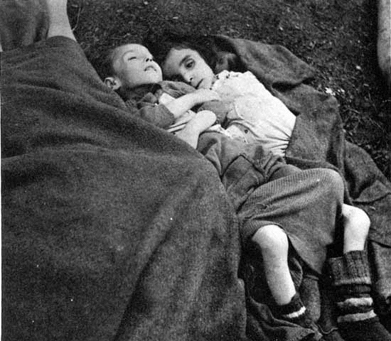 Children at liberation of
                                  Bergen-Belsen