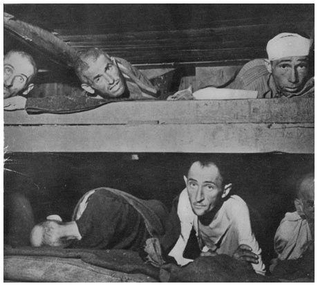 Bergen-Belsen
                                                      prisoners at
                                                      liberatation