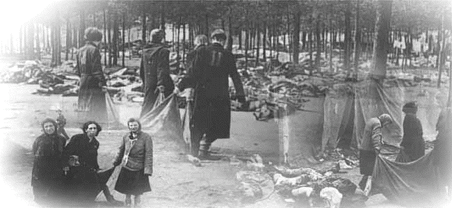 Corpses at
                                                        Bergen-Belsen