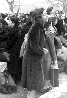 Deportation of
                                                  Jews of Ioaninna,
                                                  Greece, to
                                                  Auschwitz-Birkenau