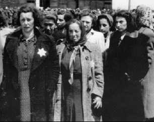 Auschwitz women
                                                      selected for slave
                                                      labor.