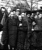 Holocaust
                                                  survivors