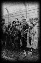 Holocaust
                                                          children