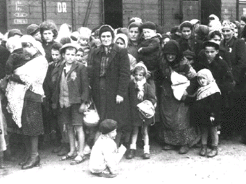 Holocaust
                                                          arrivals