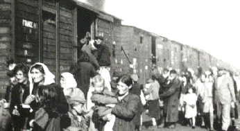 Holocaust
                                                          deportations