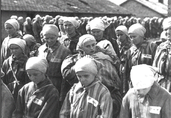 Slave women of the
                                                      Holocaust