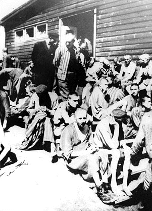Emaciated
                                                  prisoners from the
                                                  Mauthausen
                                                  Concentration Camp