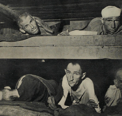 Prisoners at
                                                liberation of
                                                Bergen-Belsen Camp