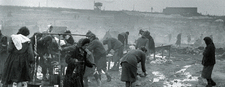 Survivors of
                                                    Belsen Camp