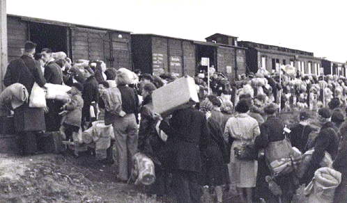 Transportation of
                                                  Jews to the
                                                  Auschwith-Birkenau
                                                  Camp