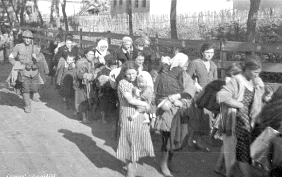 Romanian Jews from Bukovina
                                      to Transnistria