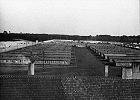 Ravensbruck More on
                                                          Ravensbrck
                                                          Nurse-Perpetrators
                                                          of Ravensbrck
                                                          Concentration
                                                          Camp
                                                          Ravensbrck