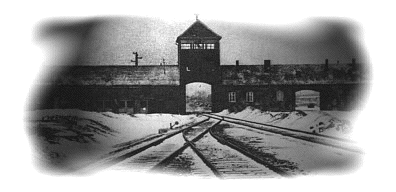 Birkenau
                                                          from inside