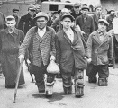 Disabled
victims