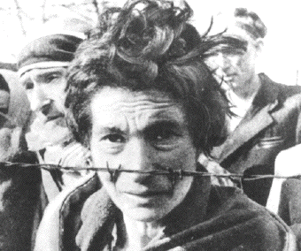 Auschwitz woman