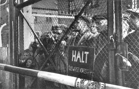 Auschwitz/Birkenau Inmates at
                                      Liberation