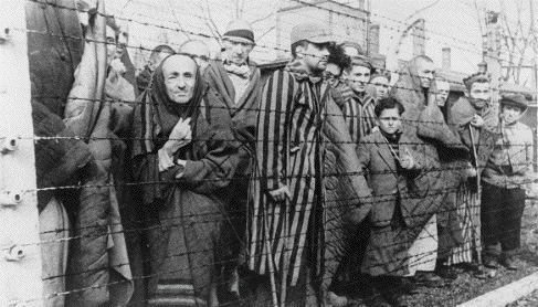 Holocaust survivors