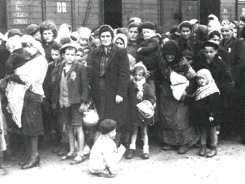 Holocaust
arrivals