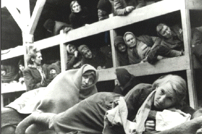 Holocaust barrack for
women