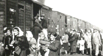 Holocaust
deportations