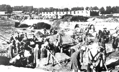 Birkenau under construction by
the Auschwitz inmates.