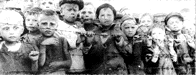 The Children of
                                                  the Holocaust