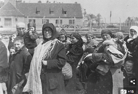 Women and
                                                  children selected for
                                                  gas chamber