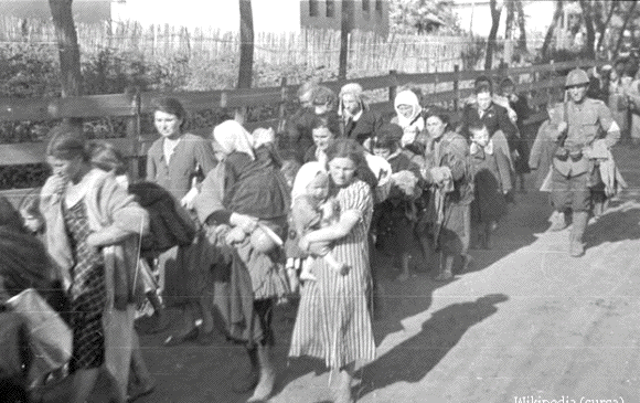 Romanian Jews from Bukovina
to Transnistria